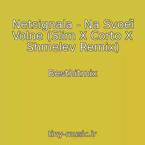 کاور آهنگ Netsignala - Na Svoeĭ Volne (Slim X Corto X Shmelev Remix) از Besthitmix