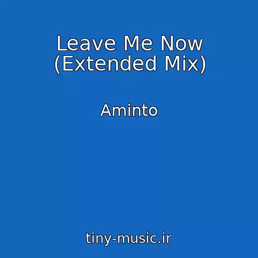 کاور آهنگ Leave Me Now (Extended Mix) از Aminto