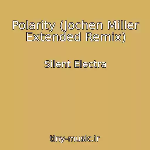 کاور آهنگ Polarity (Jochen Miller Extended Remix) از Silent Electra