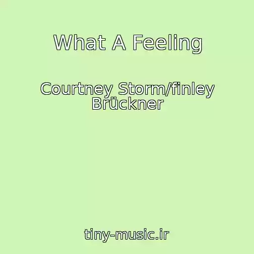 کاور آهنگ What A Feeling از Courtney Storm/finley Brückner