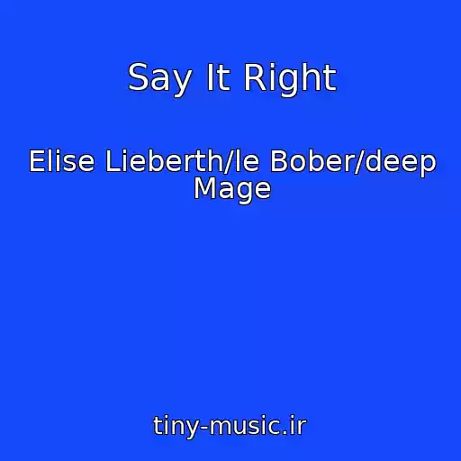 کاور آهنگ Say It Right از Elise Lieberth/le Bober/deep Mage