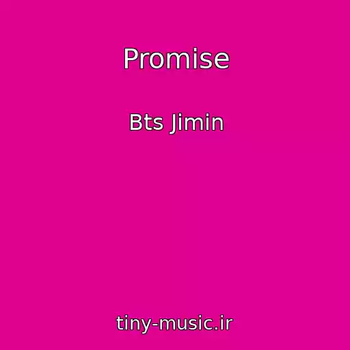 کاور آهنگ Promise از Bts Jimin