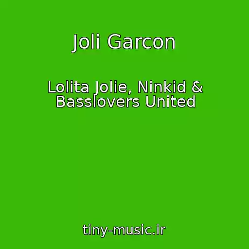 کاور آهنگ Joli Garcon از Lolita Jolie, Ninkid & Basslovers United