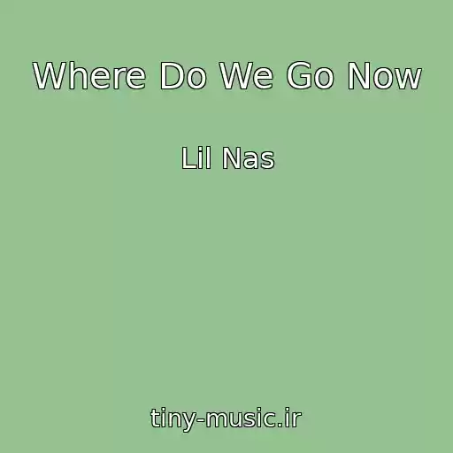 کاور آهنگ Where Do We Go Now از Lil Nas