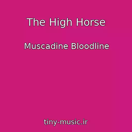 کاور آهنگ The High Horse از Muscadine Bloodline