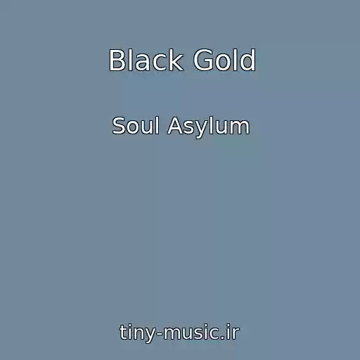 کاور آهنگ Black Gold از Soul Asylum