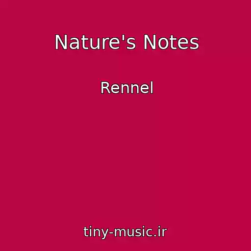 کاور آهنگ Nature's Notes از Rennel