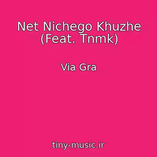 کاور آهنگ Net Nichego Khuzhe (Feat. Tnmk) از Via Gra