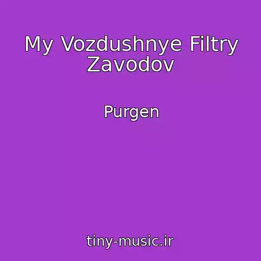 کاور آهنگ My Vozdushnye Filtry Zavodov از Purgen