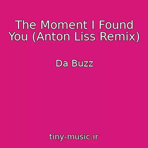 کاور آهنگ The Moment I Found You (Anton Liss Remix) از Da Buzz