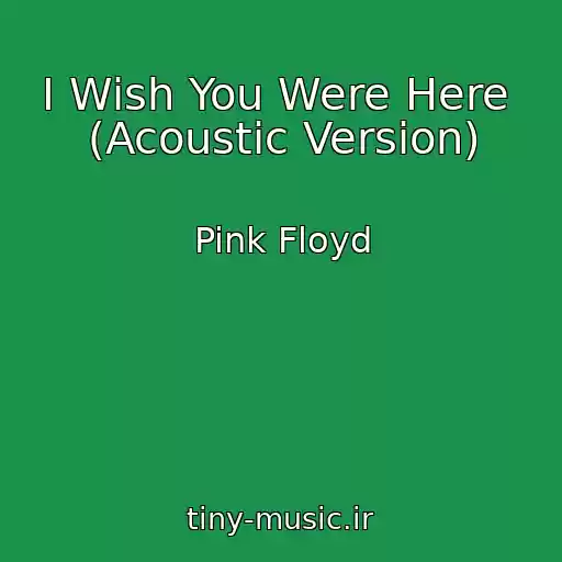 کاور آهنگ I Wish You Were Here  (Acoustic Version) از Pink Floyd