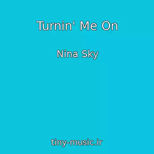 کاور آهنگ Turnin' Me On از Nina Sky