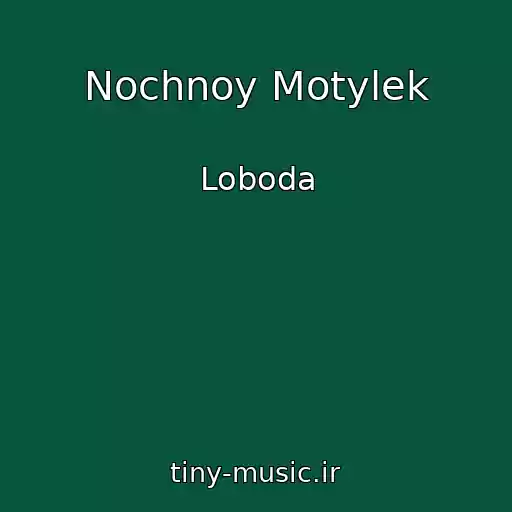 کاور آهنگ Nochnoy Motylek از Loboda