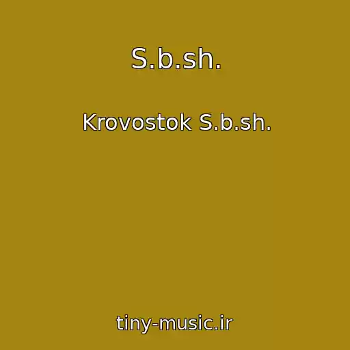 کاور آهنگ S.b.sh. از Krovostok S.b.sh.