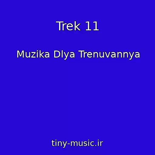 کاور آهنگ Trek 11 از Muzika Dlya Trenuvannya