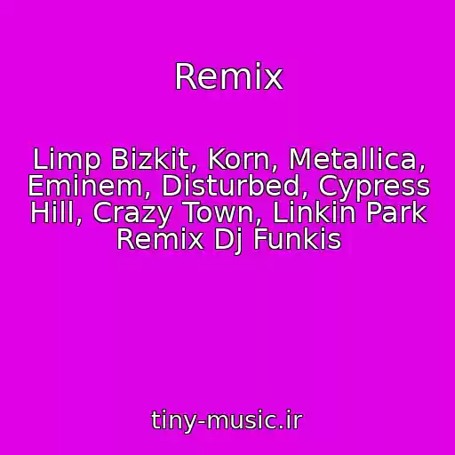 کاور آهنگ Remix از Limp Bizkit, Korn, Metallica, Eminem, Disturbed, Cypress Hill, Crazy Town, Linkin Park Remix Dj Funkis