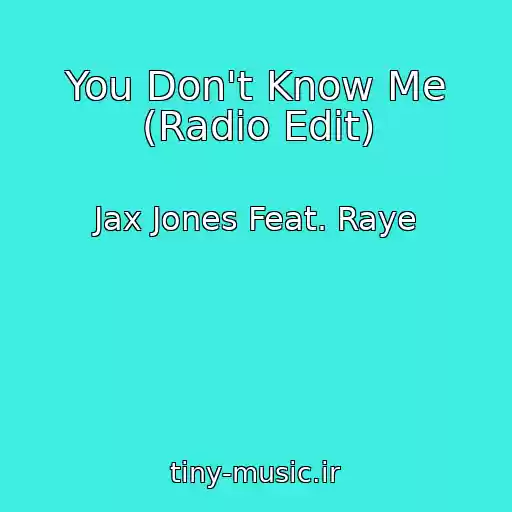 کاور آهنگ You Don't Know Me (Radio Edit) از Jax Jones Feat. Raye