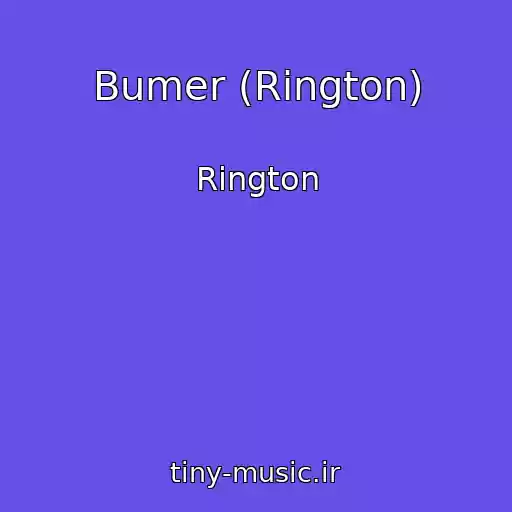 کاور آهنگ Bumer (Rington) از Rington