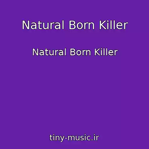 کاور آهنگ Natural Born Killer از Natural Born Killer