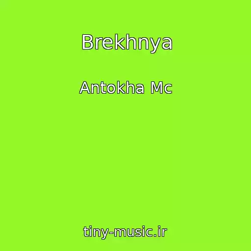 کاور آهنگ Brekhnya از Antokha Mc