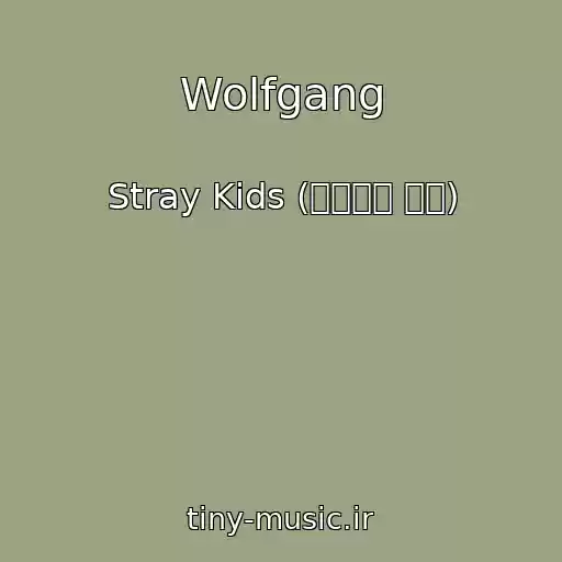 کاور آهنگ Wolfgang از Stray Kids (스트레이 키즈)