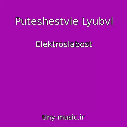 کاور آهنگ Puteshestvie Lyubvi از Elektroslabost