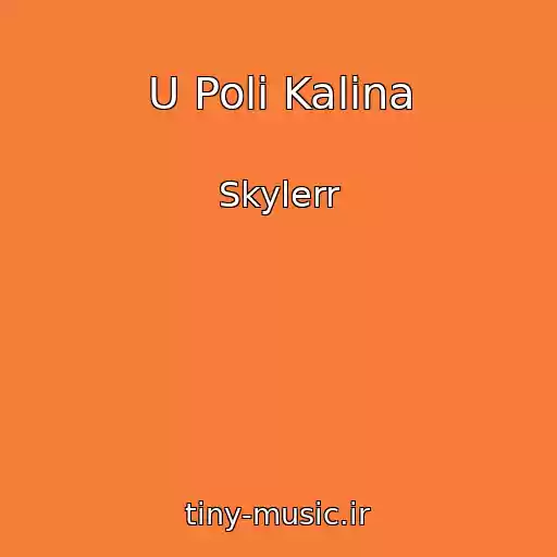 کاور آهنگ U Polі Kalina از Skylerr