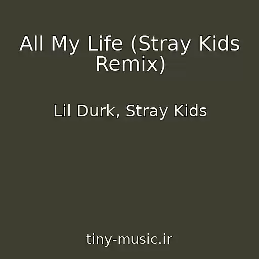 کاور آهنگ All My Life (Stray Kids Remix) از Lil Durk, Stray Kids