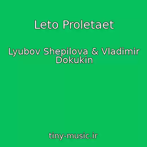 کاور آهنگ Leto Proletaet از Lyubov Shepilova & Vladimir Dokukin