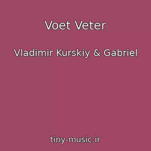 کاور آهنگ Voet Veter از Vladimir Kurskiy & Gabriel