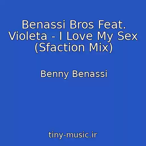 کاور آهنگ Benassi Bros Feat. Violeta - I Love My Sex (Sfaction Mix) از Benny Benassi