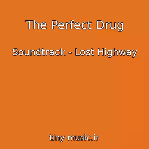 کاور آهنگ The Perfect Drug از Soundtrack - Lost Highway