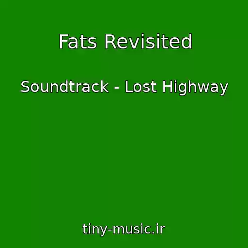 کاور آهنگ Fats Revisited از Soundtrack - Lost Highway