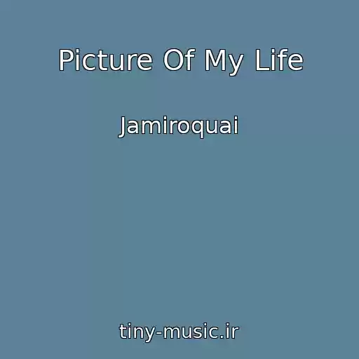 کاور آهنگ Picture Of My Life از Jamiroquai
