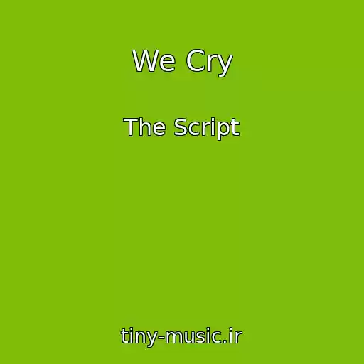 کاور آهنگ We Cry از The Script