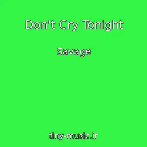 کاور آهنگ Don't Cry Tonight از Savage