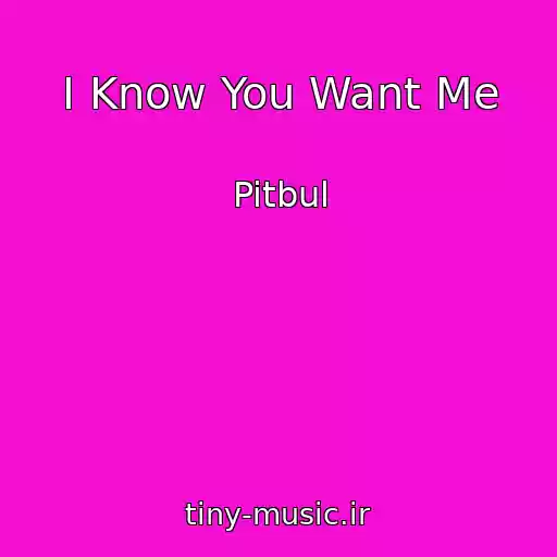 کاور آهنگ I Know You Want Me از Pitbul