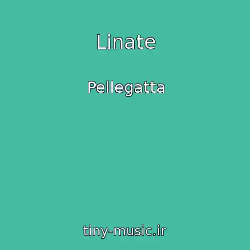 کاور آهنگ Linate از Pellegatta