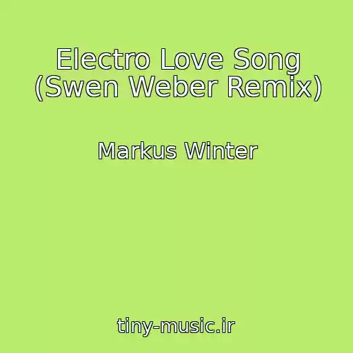 کاور آهنگ Electro Love Song (Swen Weber Remix) از Markus Winter