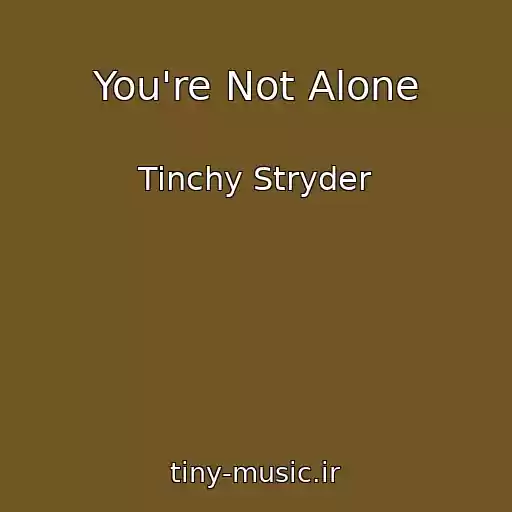 کاور آهنگ You're Not Alone از Tinchy Stryder
