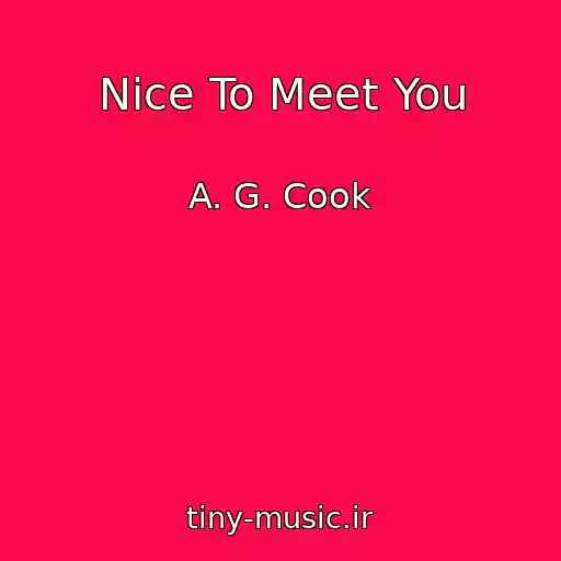 کاور آهنگ Nice To Meet You از A. G. Cook