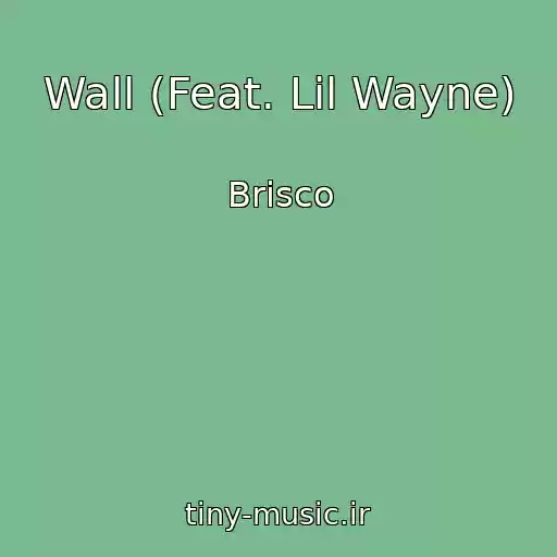کاور آهنگ Wall (Feat. Lil Wayne) از Brisco