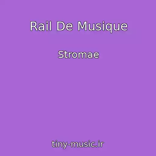 کاور آهنگ Rail De Musique از Stromae