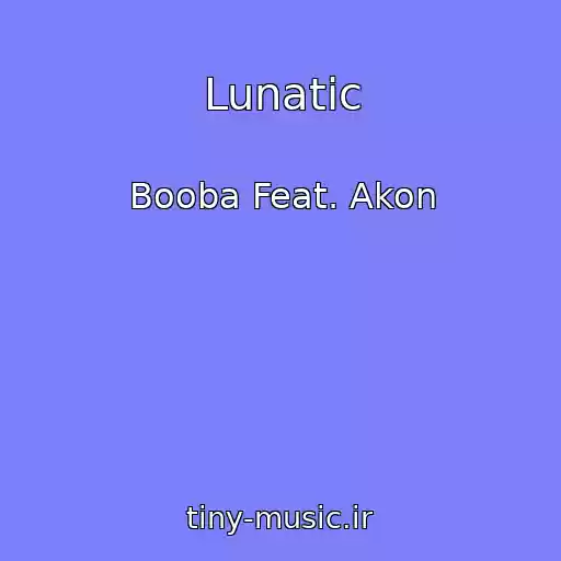 کاور آهنگ Lunatic از Booba Feat. Akon