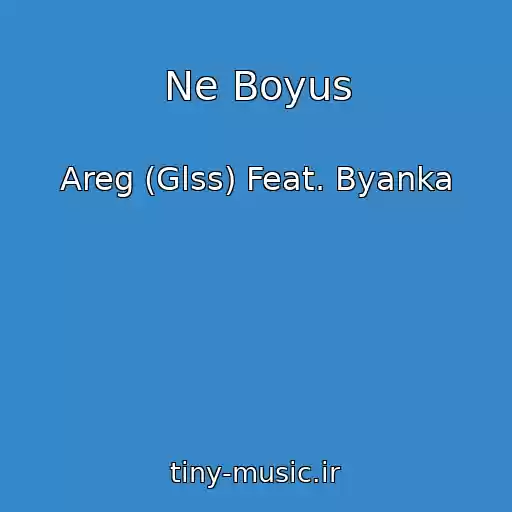 کاور آهنگ Ne Boyus از Areg (Glss) Feat. Byanka