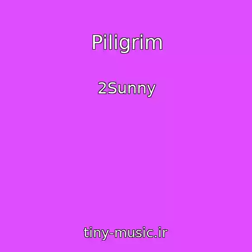 کاور آهنگ Piligrim از 2Sunny