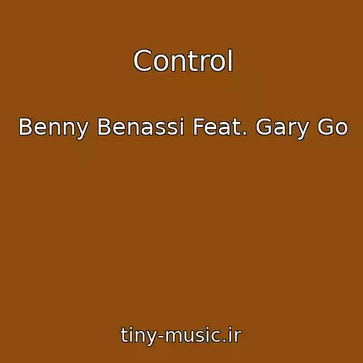 کاور آهنگ Control از Benny Benassi Feat. Gary Go