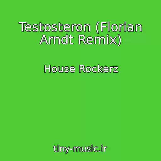 کاور آهنگ Testosteron (Florian Arndt Remix) از House Rockerz