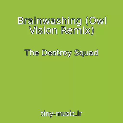 کاور آهنگ Brainwashing (Owl Vision Remix) از The Destroy Squad