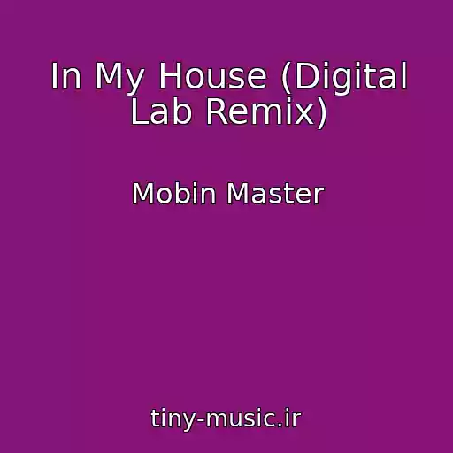 کاور آهنگ In My House (Digital Lab Remix) از Mobin Master